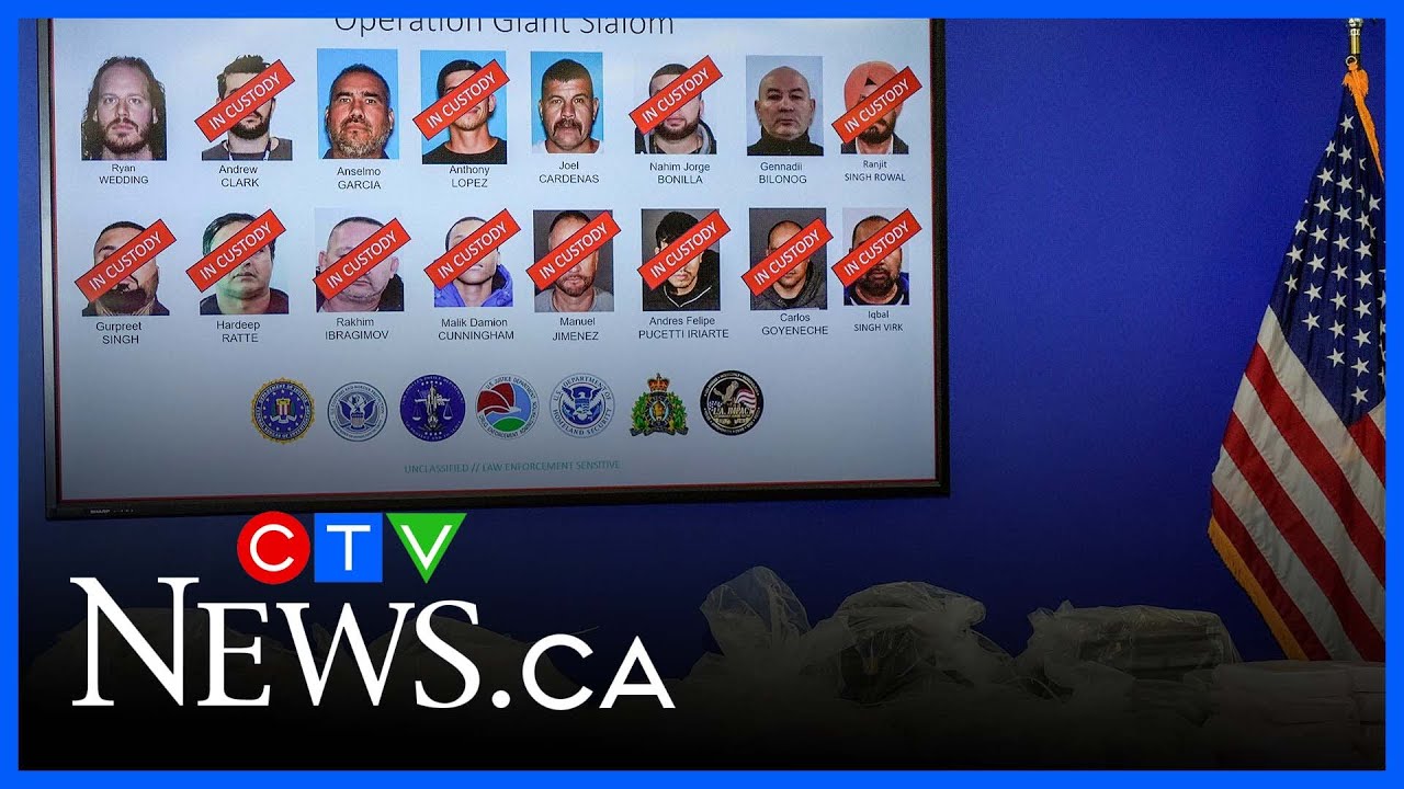 Police arrest multiple suspects linked to Ryan Wedding operation