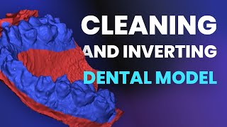 Cleaning and inverting dental model