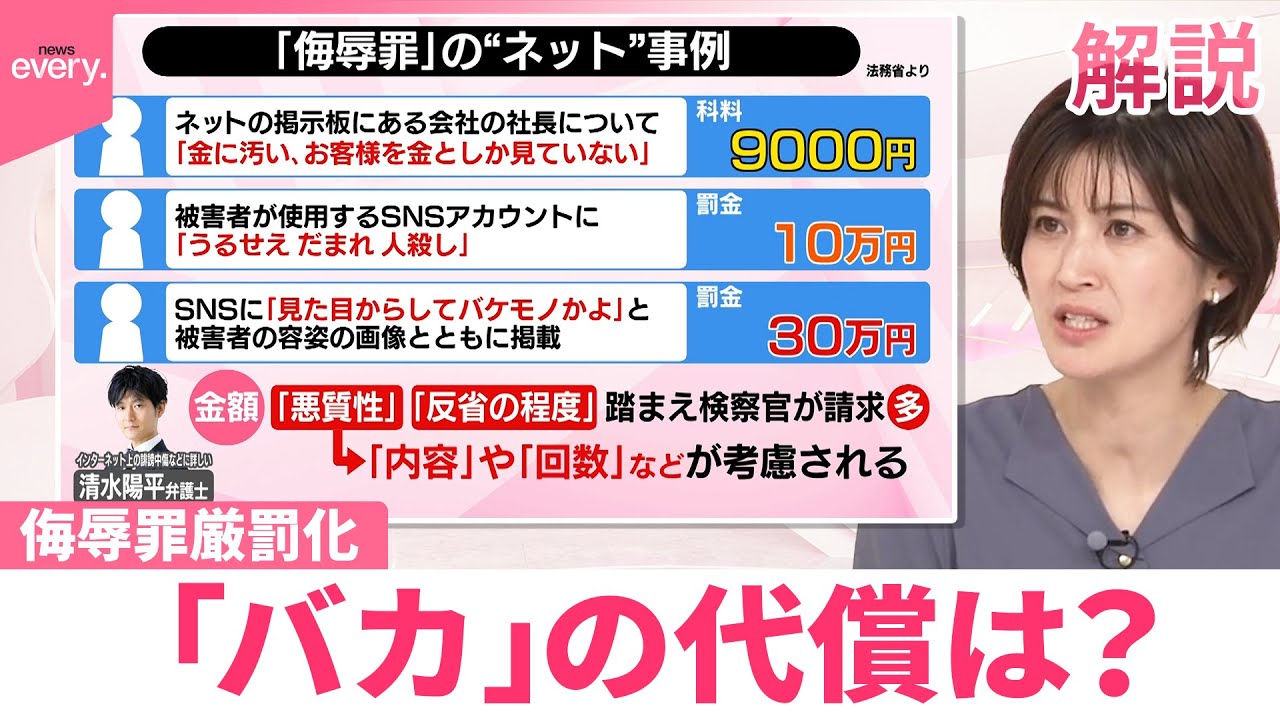 【#みんなのギモン】「これをやると侮辱罪」事例公開 罰金10万円も…「バカ」の代償は