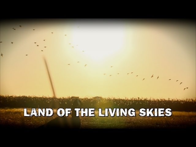 CITR-1010-Land of the Living Skies class=