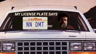 Terence McKenna - Pattern Out Of Chaos