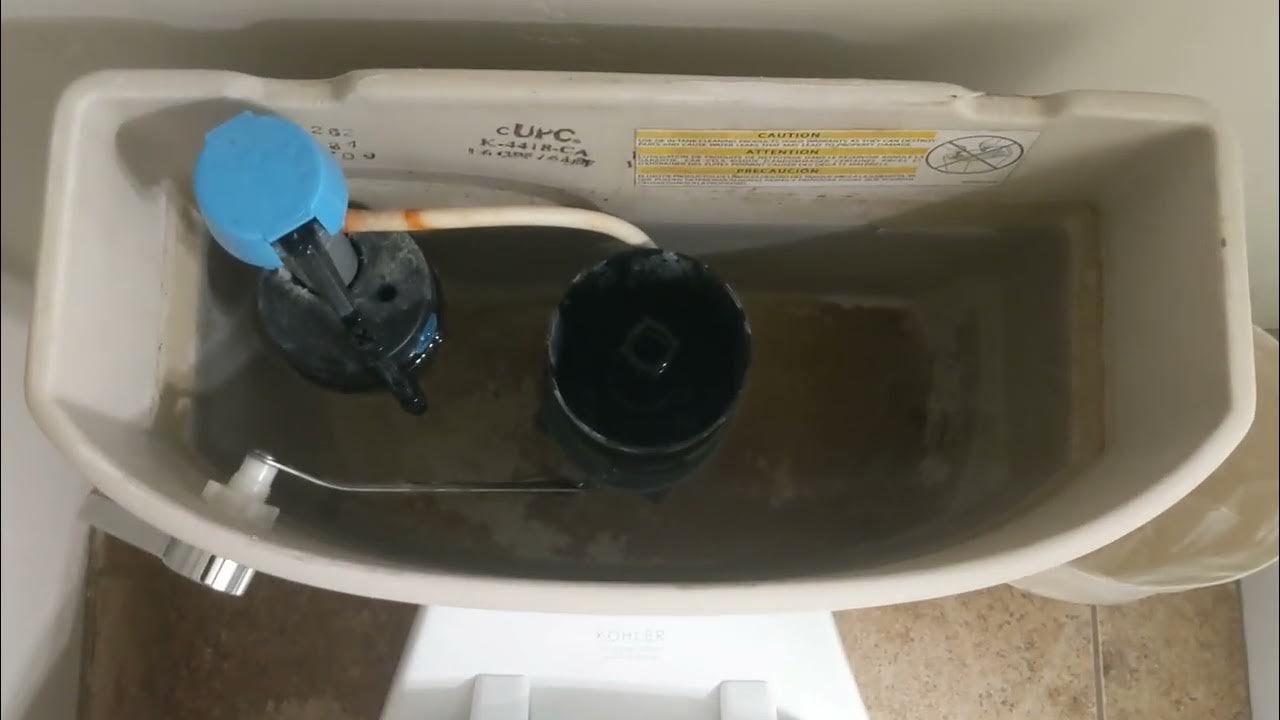 5836 2006 Kohler Cimarron Toilet Tank YouTube