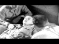 WWII PTSD Film Psychiatric Procedures In the Combat Area (full)  - Graphic