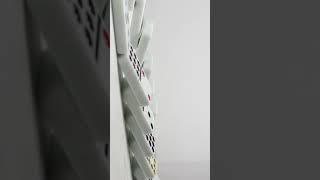 Domino Effect Domino Effect