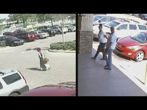 pigeon surveillance