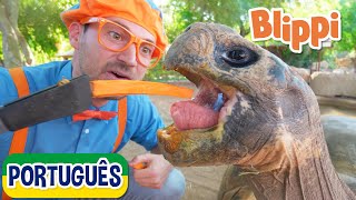 Blippi Visita um Zoológico | Vídeos Educativos para Crianças | As Aventuras de Blippi