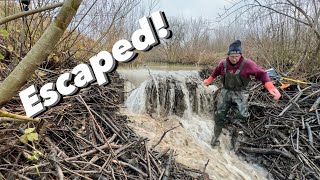 Just in Time To Escape BEAVER DAM Collapse!