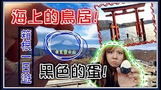 【魚乾】輕鬆愜意的員工旅遊，箱根一日遊！