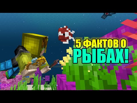 5 ФАКТОВ О РЫБАХ - Майнкрафт