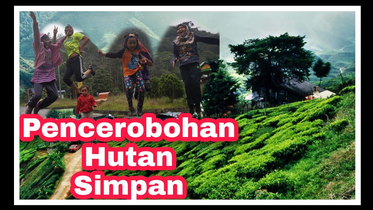 Tracking trail Parit Fall Cameron Highlands - YouTube
