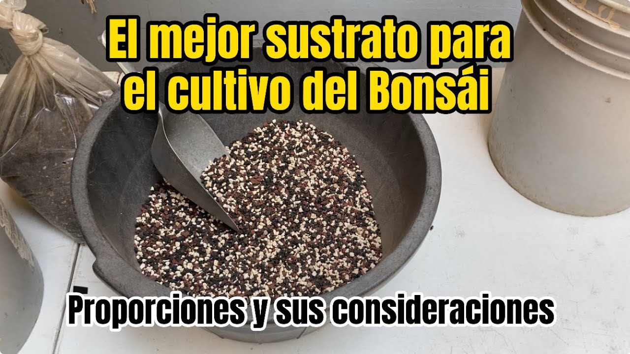 El mejor sustrato para el cultivo de Bonsái!!!!