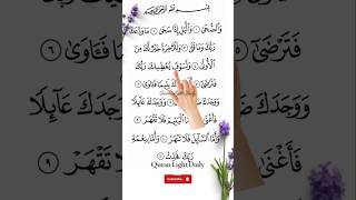 SURAH AD-DUHA 🤲(سورة الضحى )Egzon Ibrahimi #quran #adduha #egzonibrahimi #shorts #quranlightdaily