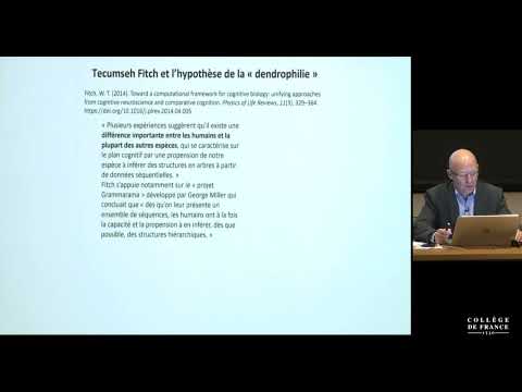 Parole, musique, mathématiques : les langages du cerveau (1) - Stanislas Dehaene (2016-2017)