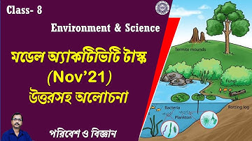 Class-8 Science ।। 50 Marks Compilation Activity Task  November
