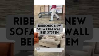 Space-Saving Sofa Bed System | Professional Installation Support #furniture #spacesaving #home