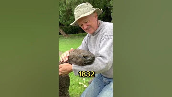 The worlds oldest turtle!