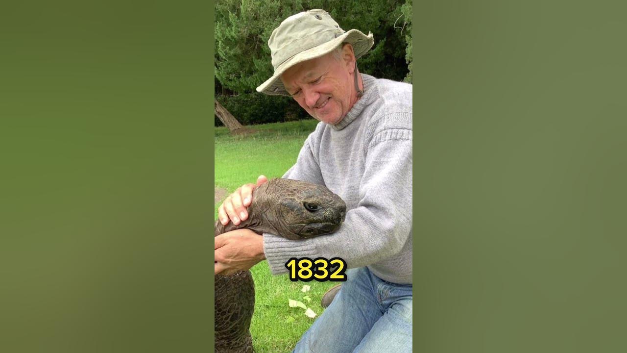 The worlds oldest turtle!