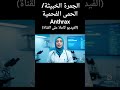 #الجمرة_الخبيثة #الحمى_الفحمية #وباء #العدوى#تحصين  #تطعيم #حمايه #اكسبلور #ترند #تحفيز #ai