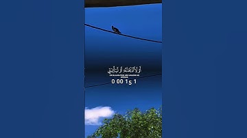 “ما هو قارئ القرآن المفضل لديكم؟ 📖✨”