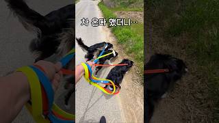 차 온다 했더니… 바로 이 반응