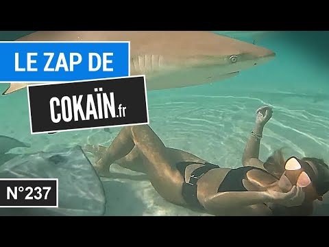Le Zap de Cokaïn.fr n°237