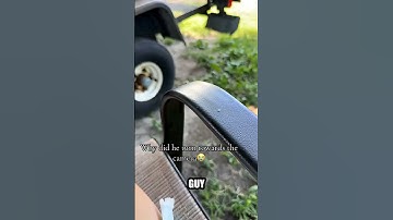 Deze bug is zojuist viraal gegaan! VS