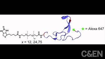 A Fluorescent Sensor For Measuring Molecular Tension