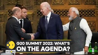 G20 Summit 2022: Leaders to cement a concrete plan for Ukraine crop export | International News