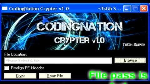 100% Working Crypter Legit Undetectable 2011 No Surveys