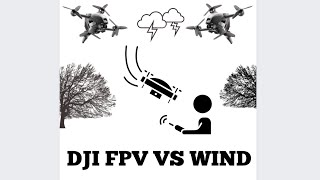 "Flying My DJI FPV in Windy Conditions: Thrilling Challenges and Amazing Footage!"