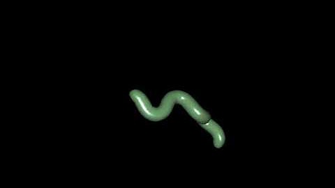 Realtime skinning and Blinn-Phong shading with OpenGL