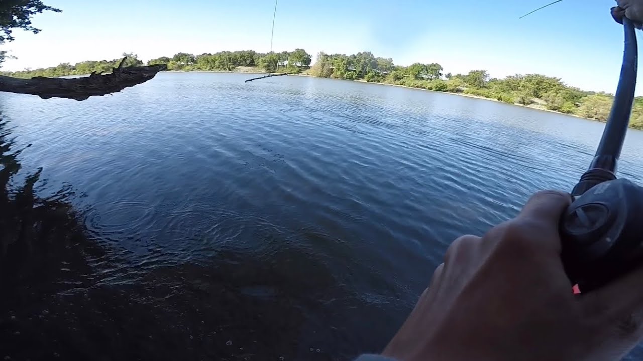 Bank fishing the Sacramento River (LOSTED A GIANT!) - YouTube