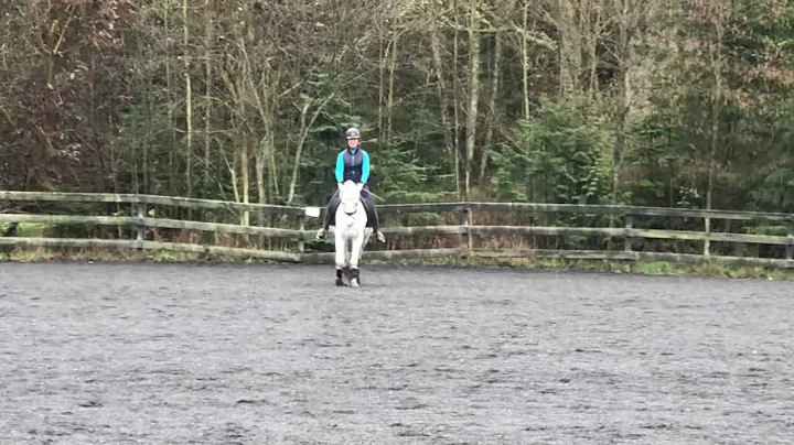 Christine Headley & Promise TL1
