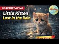 Heartbreaking Discovery: Saving a Lonely Kitten from the Streets 💔 (Emotional Story)