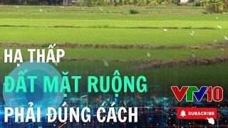 Ruộng gò cao, dân chờ phép cải tạo kéo dài | VTV10 – Đài Truyền hình Việt Nam