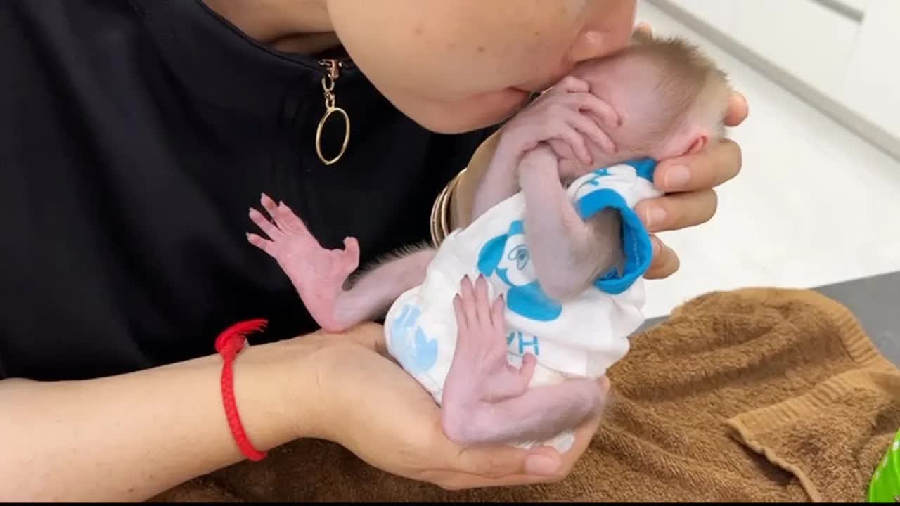 Tiny BB Tauch Close Eye & Face When Mom Kiss Him