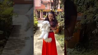 Hidden Gem | SaPa | B\u0026B | Vietnam | Unique stays #traveltips #adventuretravel #travel