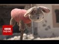 New video by BBC News on YouTube