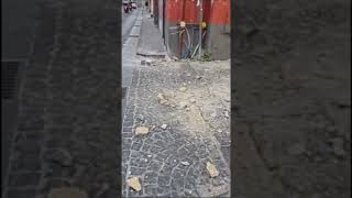 Everyone Who Watched This Footage Had a Bad Feeling About What They Saw
