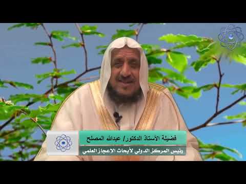 حدائق ذات بهجة