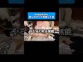 ADHDすぎて推しのライブ落選した話 #shorts