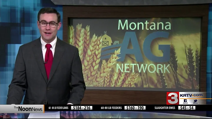 Montana Ag Network: MFBF anniversary; feral pigs