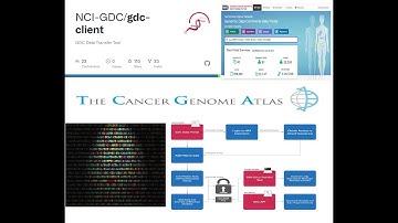 GDC Data Transfer Tool