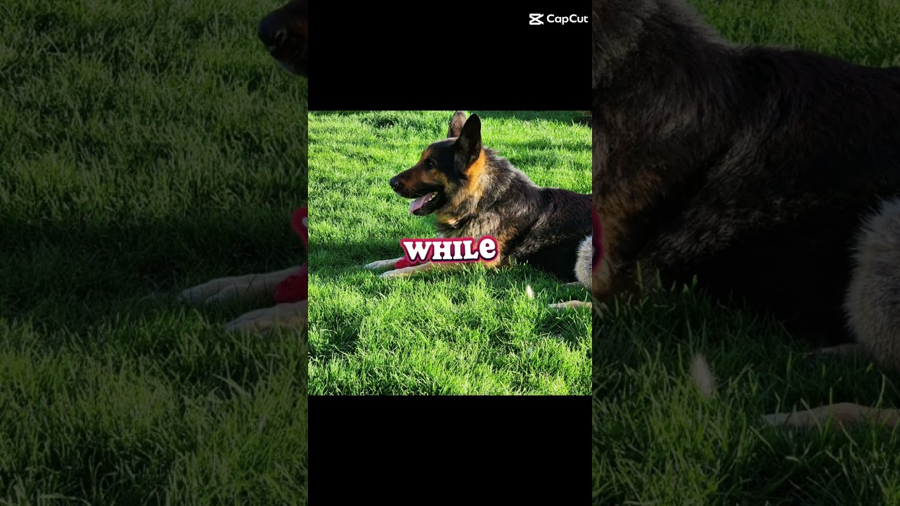 I'm scared, I don't wanna lose him 😔