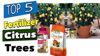 Information Best Fertilizer Citrus Trees, Orange Trees In Containers Update