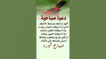 #دعوة صباحية #دعاء_الصباح #دعاء_مستجاب #اذكار_الصباح #دعاء_يوم_ #معلومات_متنوعة #لايك #2025