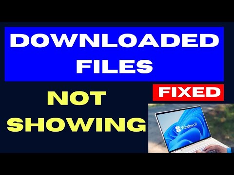 Downloaded Files Not
