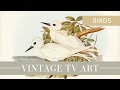 Vintage tv art  bird art  turn your tv into artwork