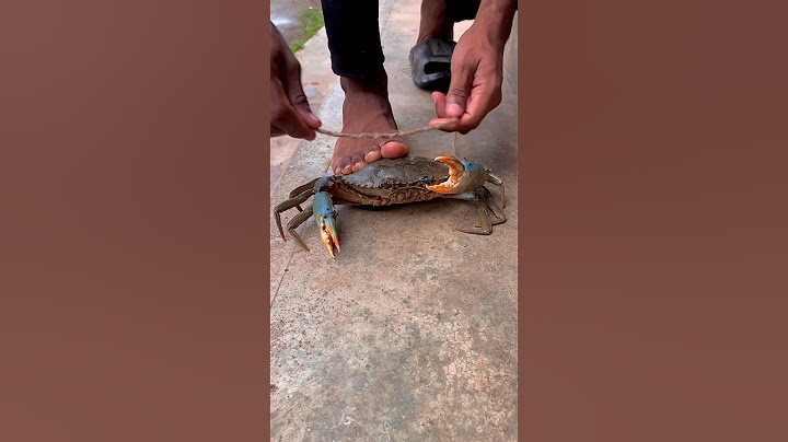 കൂട്ടത്തിലെ വില്ലൻ ഞണ്ടിനെ പിടിച് കെട്ടിയിട്ടു 🦀😱 #crab #fishfood #fishingtechniques