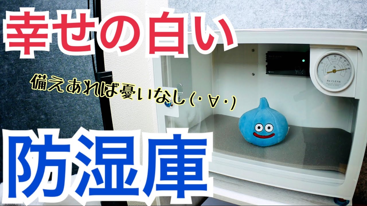 備えあれば憂いなし！大事なカメラに Re:CLEAN 小さな防湿庫 25L【か